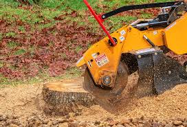 Best Lot and Land Clearing  in Cypress Landing, NC